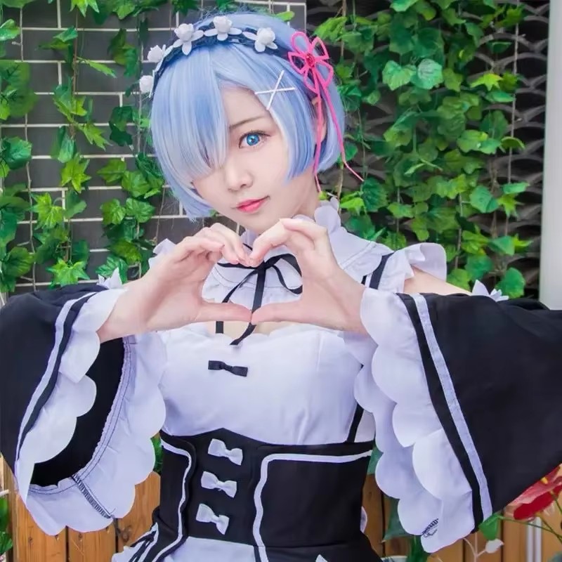 Anime Re:zero Kara Hajimeru Is - Re Zero Rem Wig 评论和价格