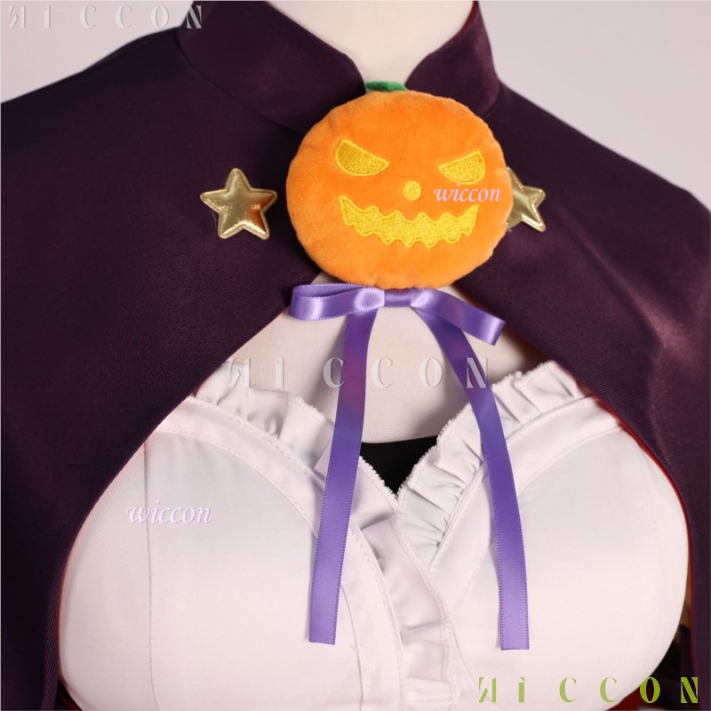 Halloween Adults Cos Re life I - Re Zero Rem Wig 评论和价格