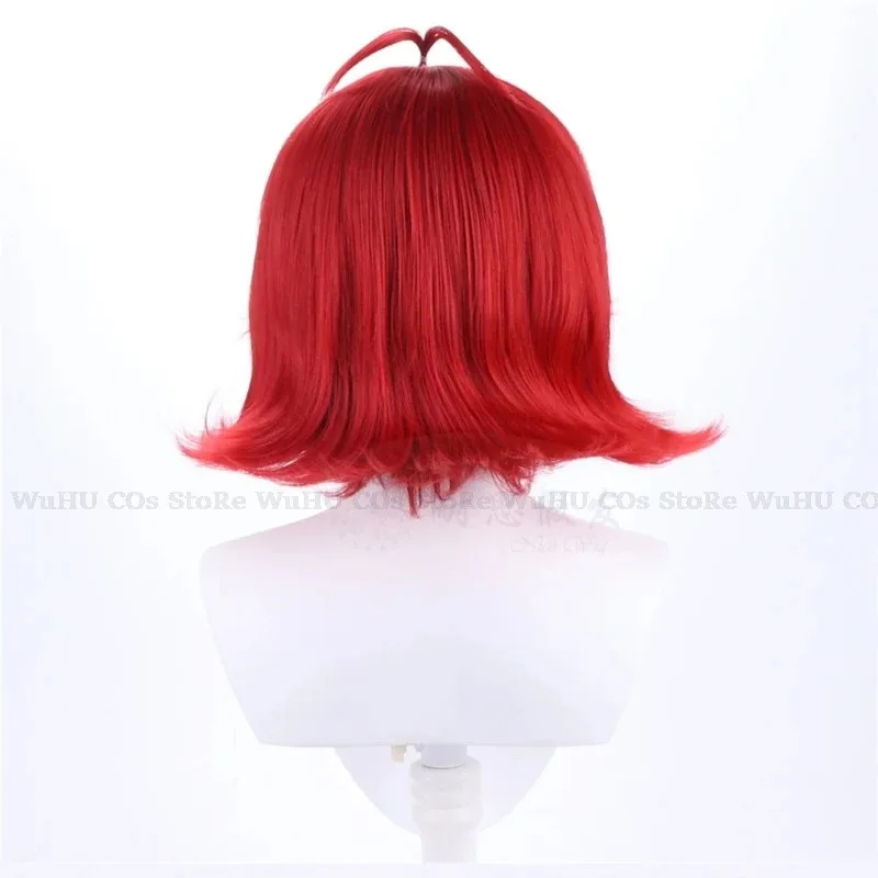 2025 hasbin Cos Niffty Wig Ani - Anime Cosplay Red Hair 评论和价格